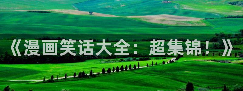 汗汗漫画：《漫画笑话大全：超集锦！》