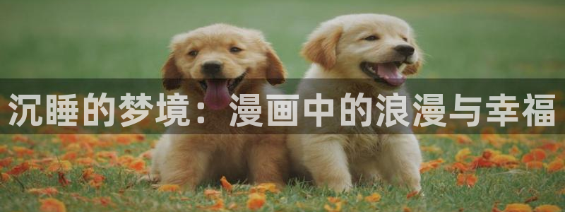 汗汗漫画网站