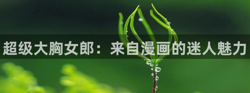 汗汗漫画海贼王：超级大胸女郎：来自漫画的迷人魅力